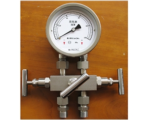 苏州差压表带三阀组
